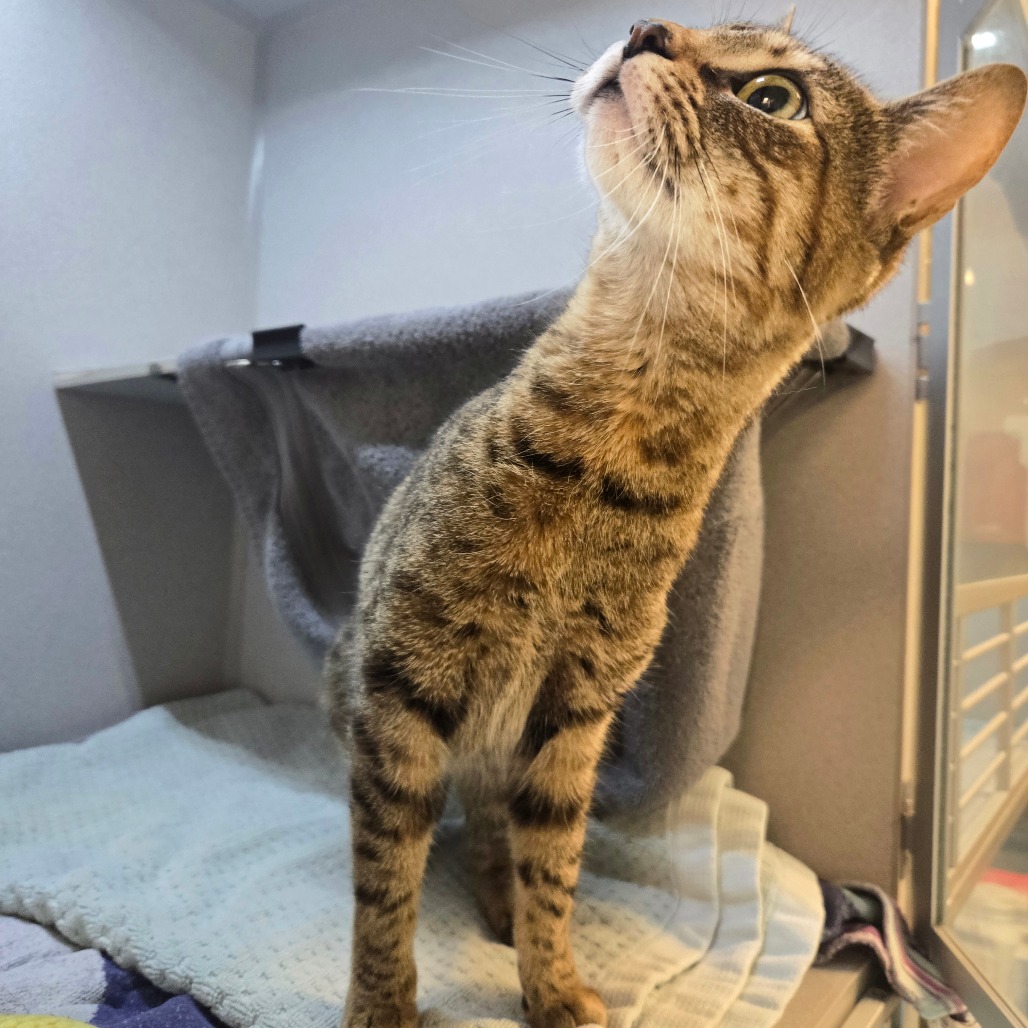 Photo of Little Bit 6