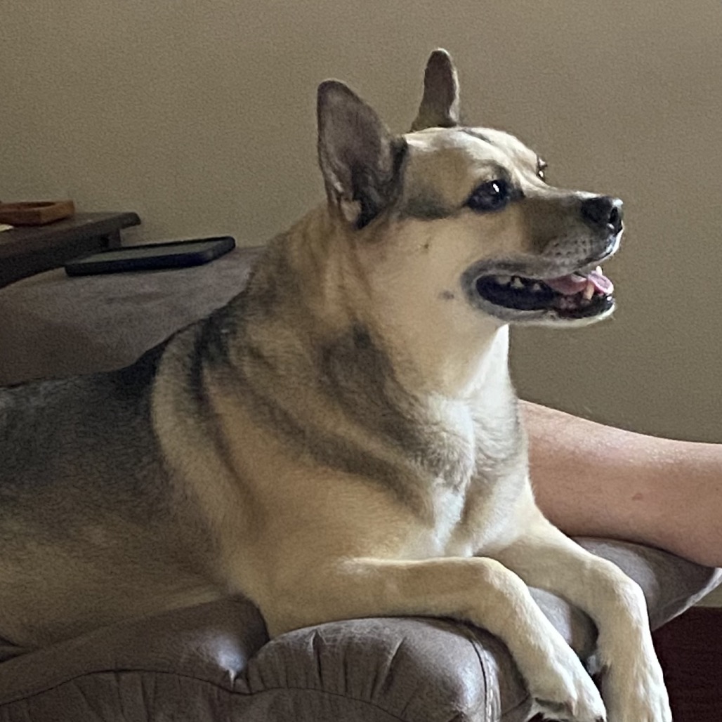 Nova, photo 3