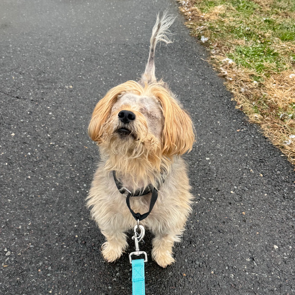 Bear, additional photo