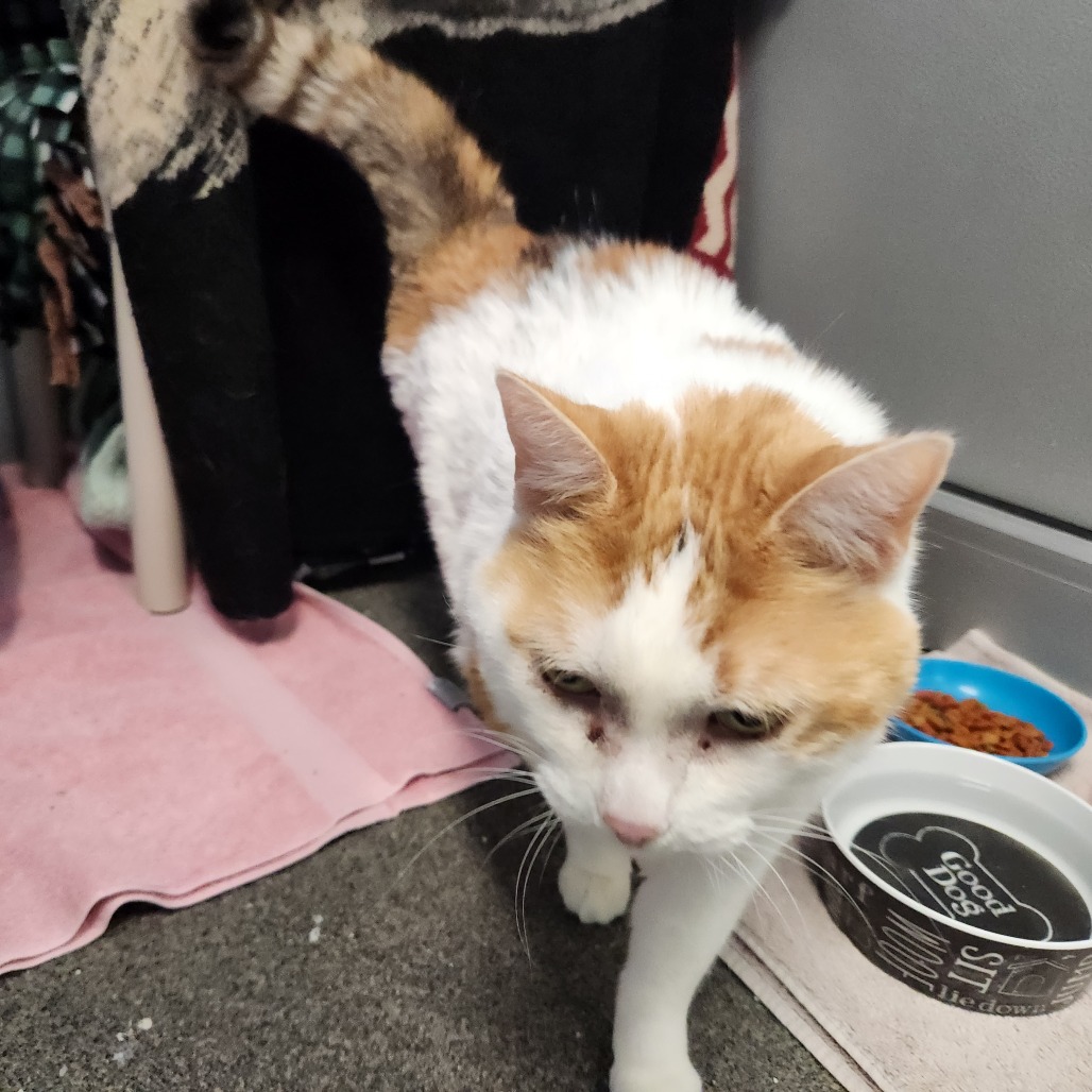 Susie-Foster — thumbnail 5