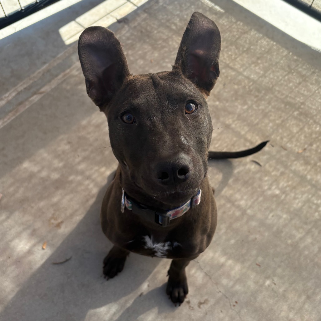 Winnie, photo 8