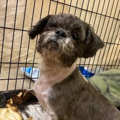 b515d8bd1b77cafaadbbbcdceb325712