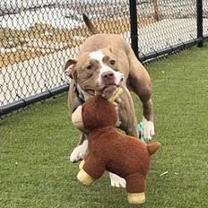 Rebecca — thumbnail 5