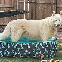 Photo of Casper