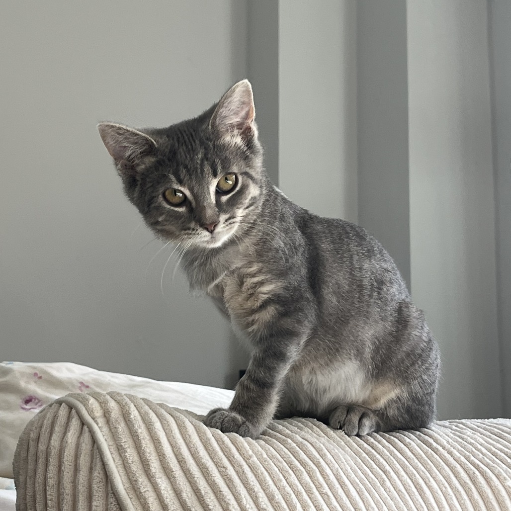 Photo of Putt-Putt
