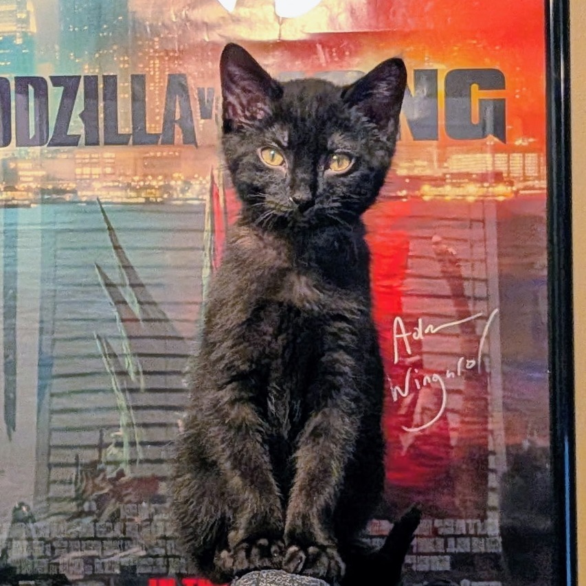Pixel