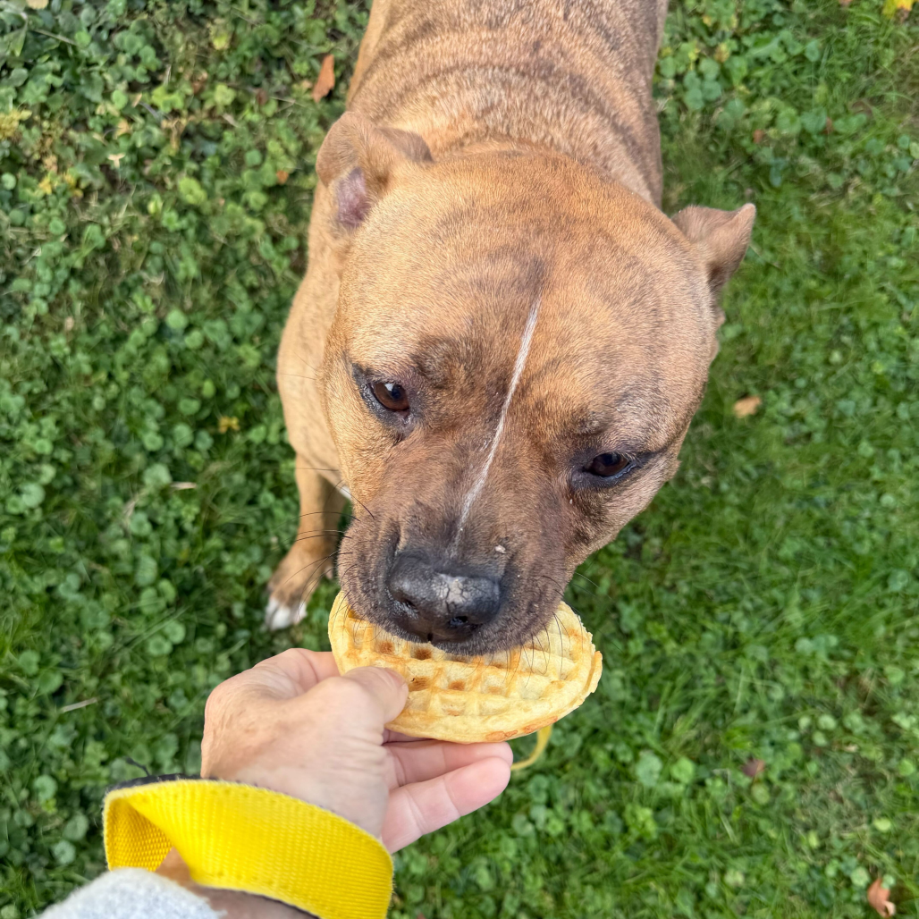 Zeus, additional photo