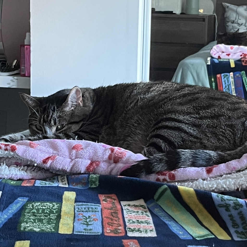 Winnie, photo 13