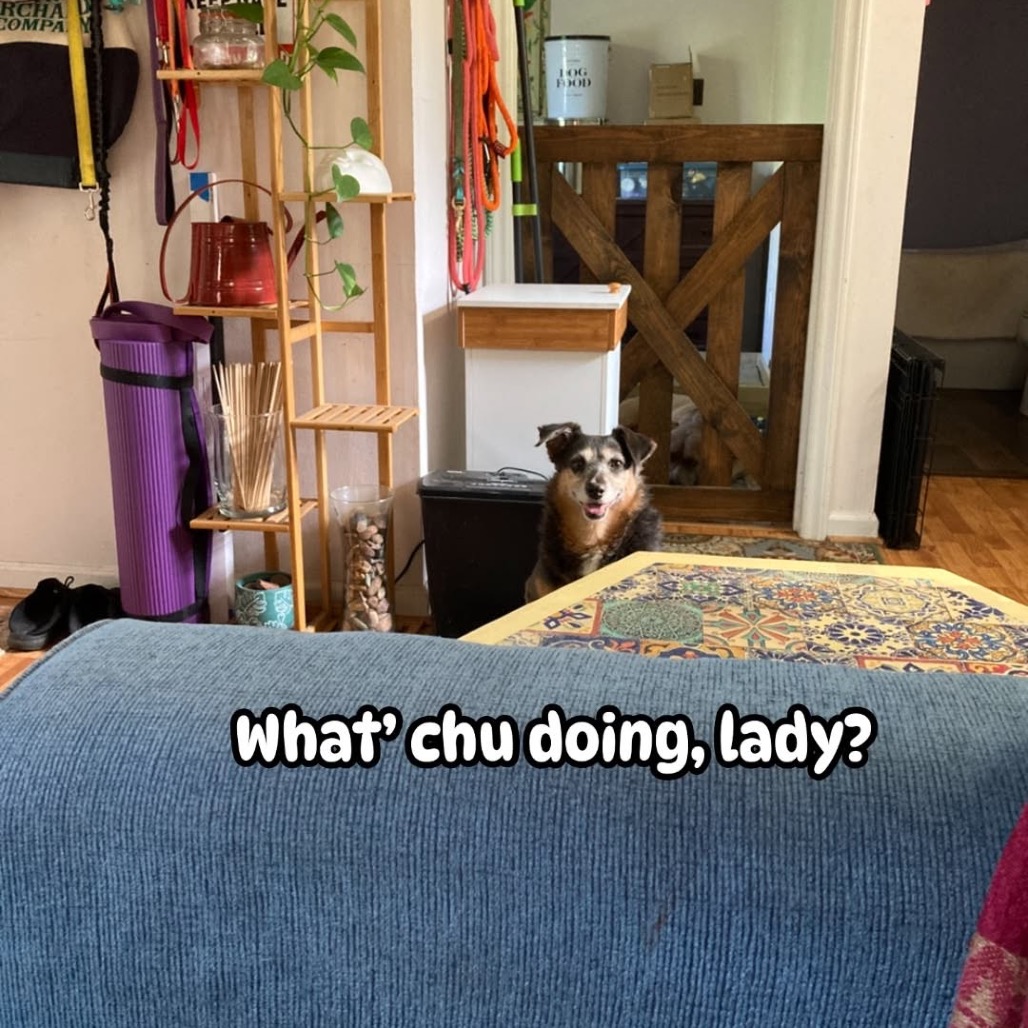 Belinda, photo 22