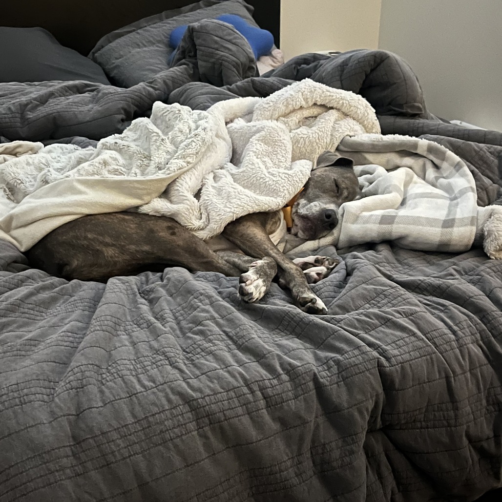 Luna may