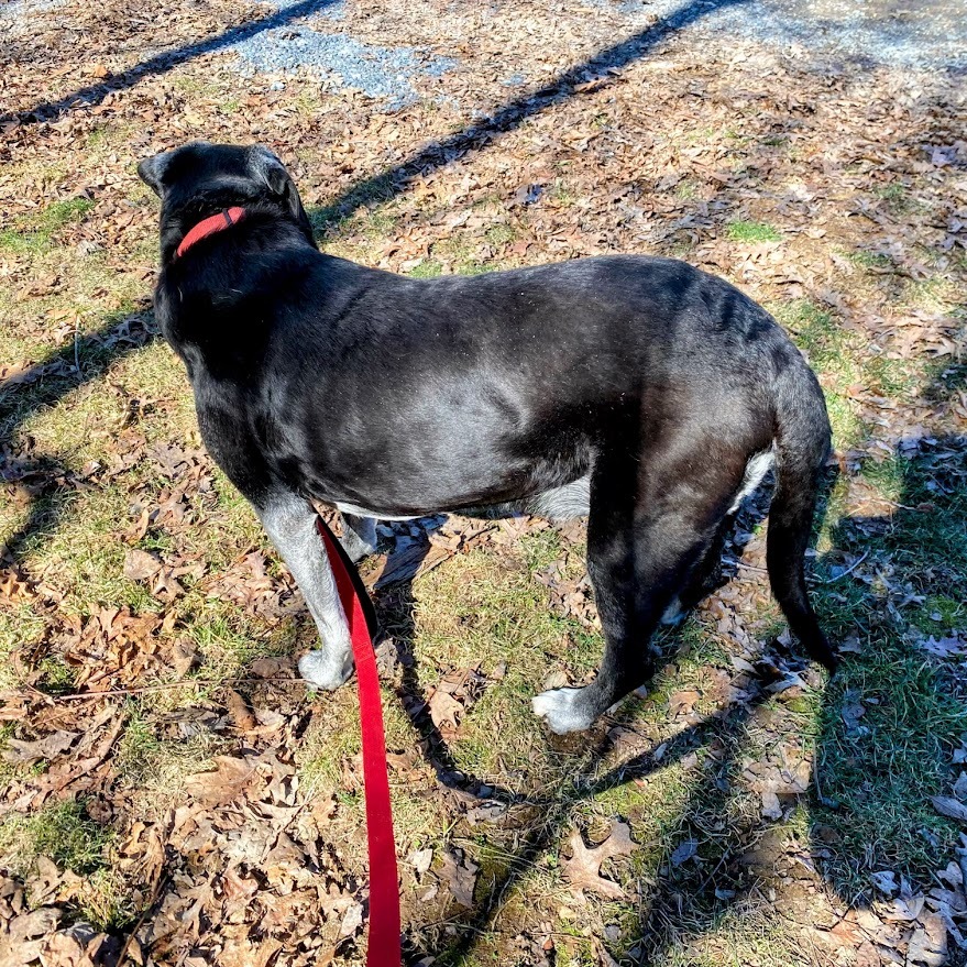 Allie — thumbnail 5