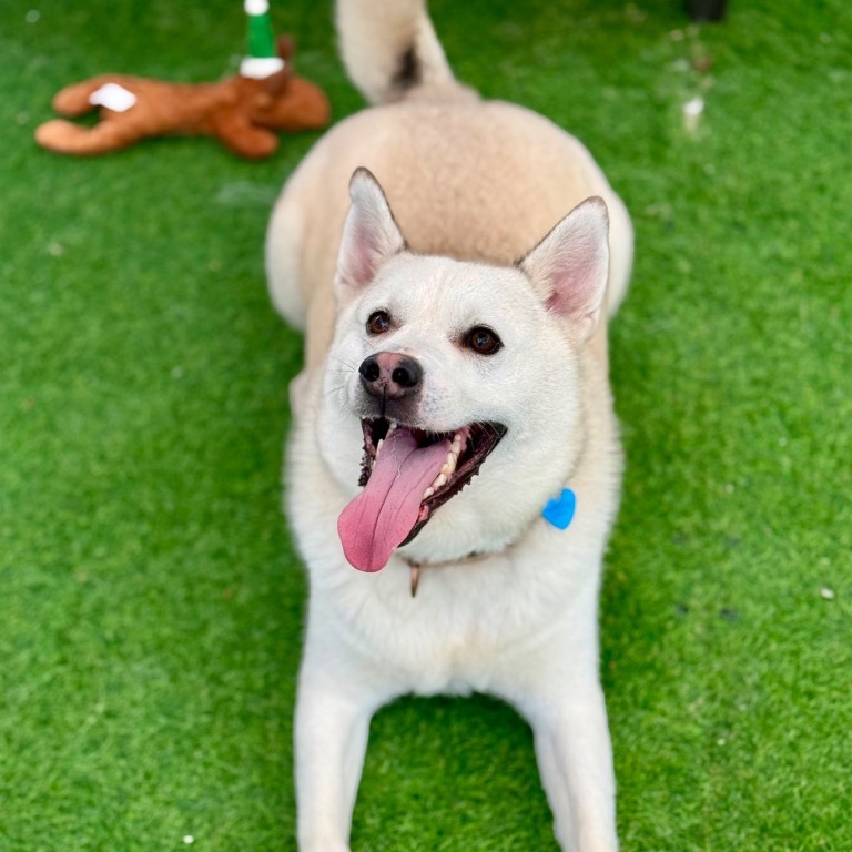 Another portrait of Austin