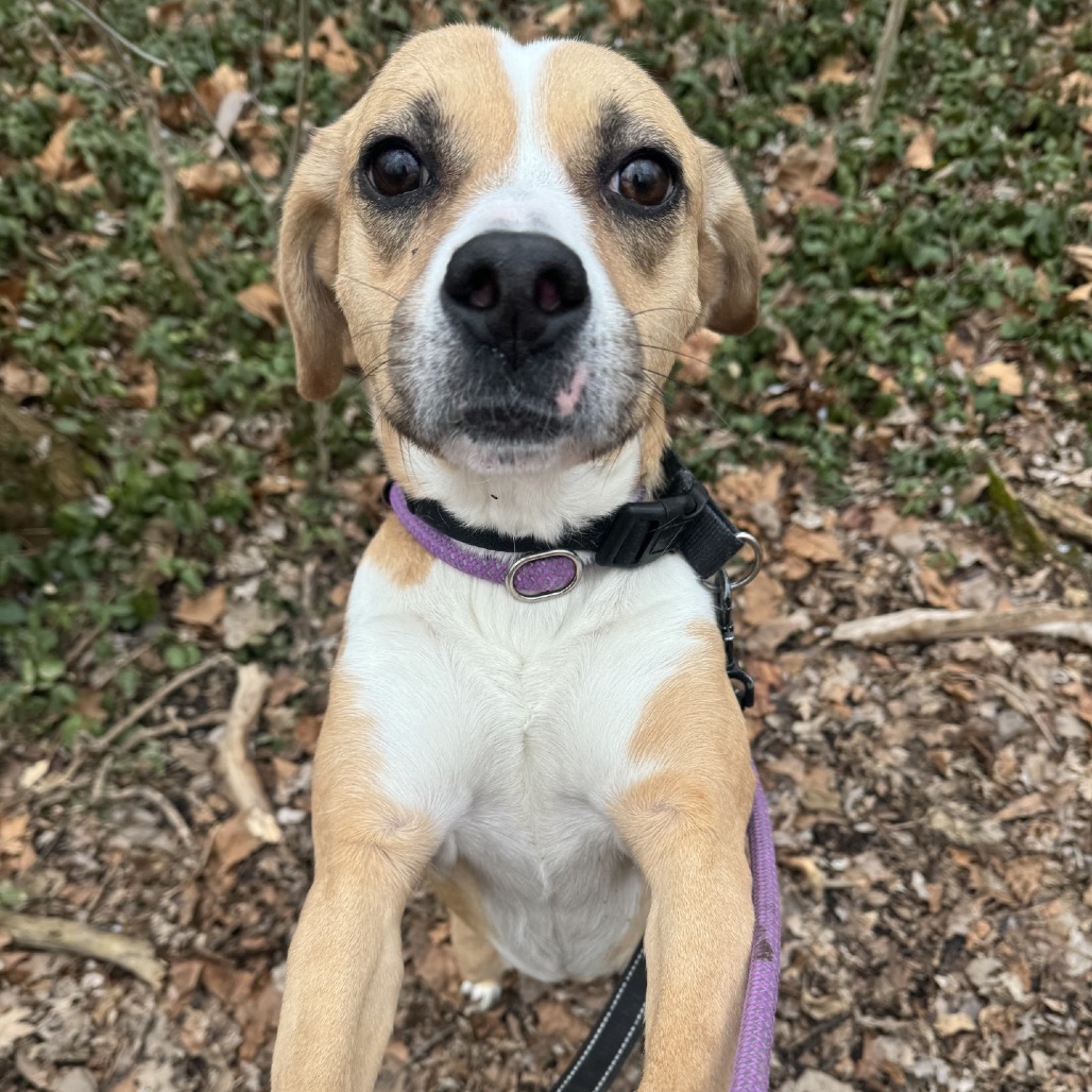 Makima — thumbnail 5