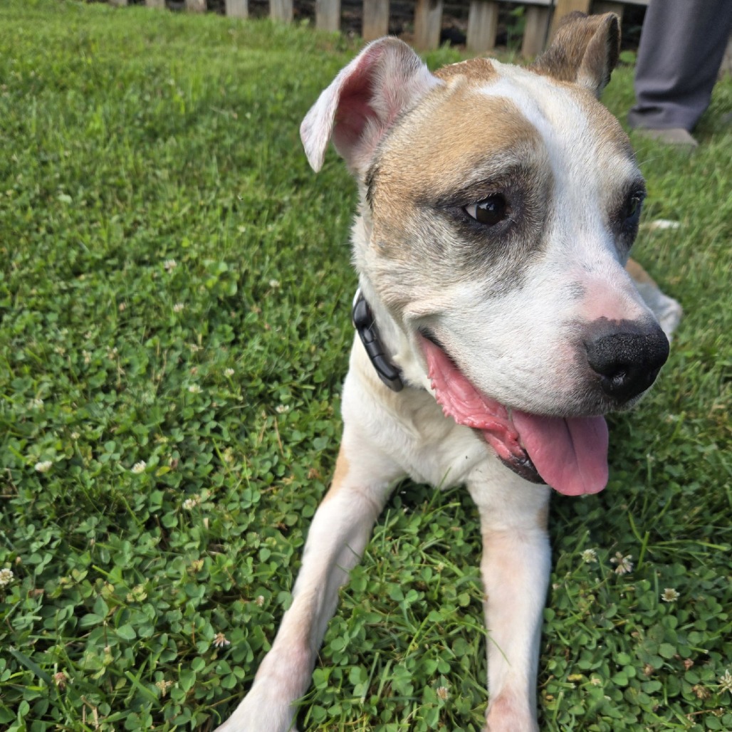 Ol' Lady — thumbnail 2