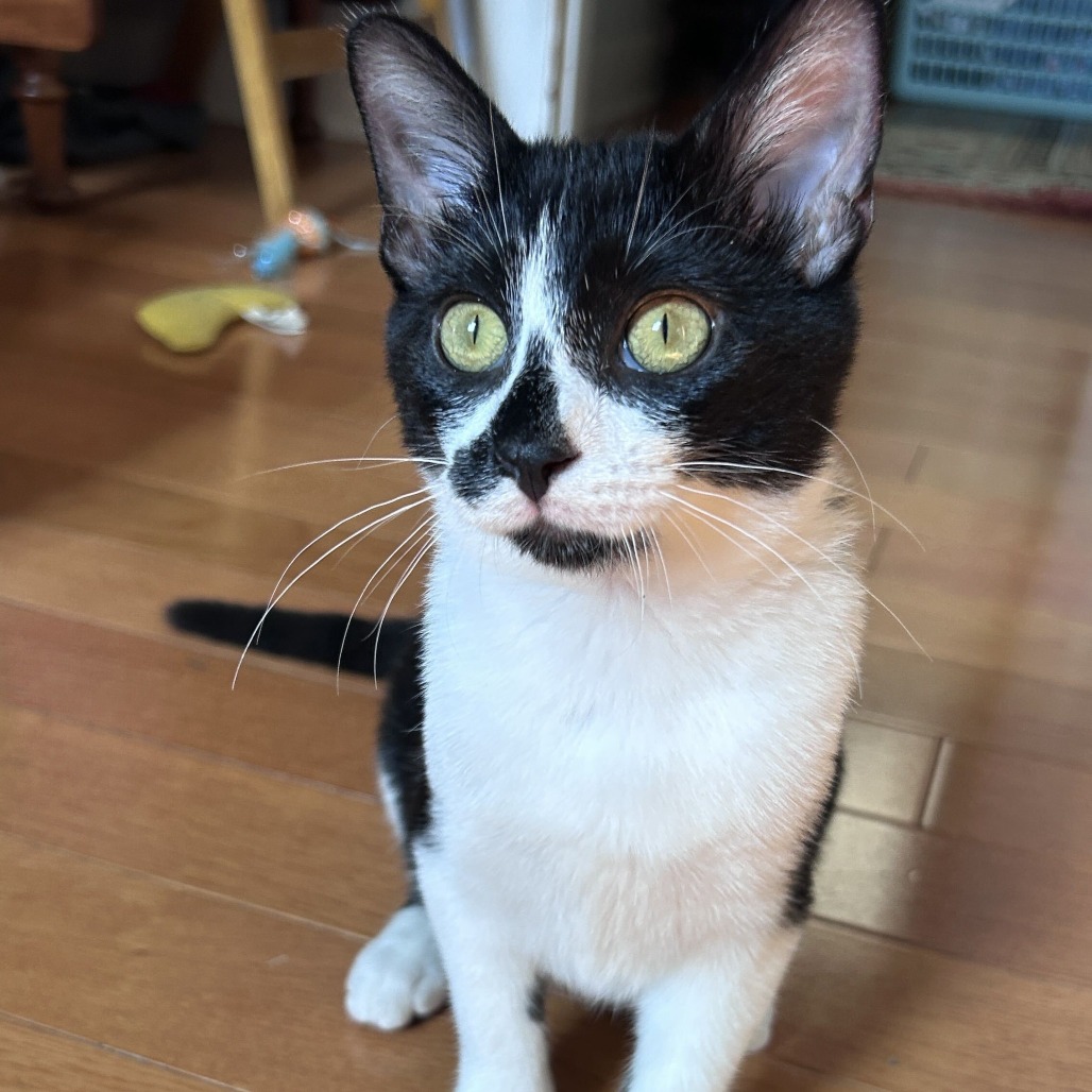 Photo of Irene