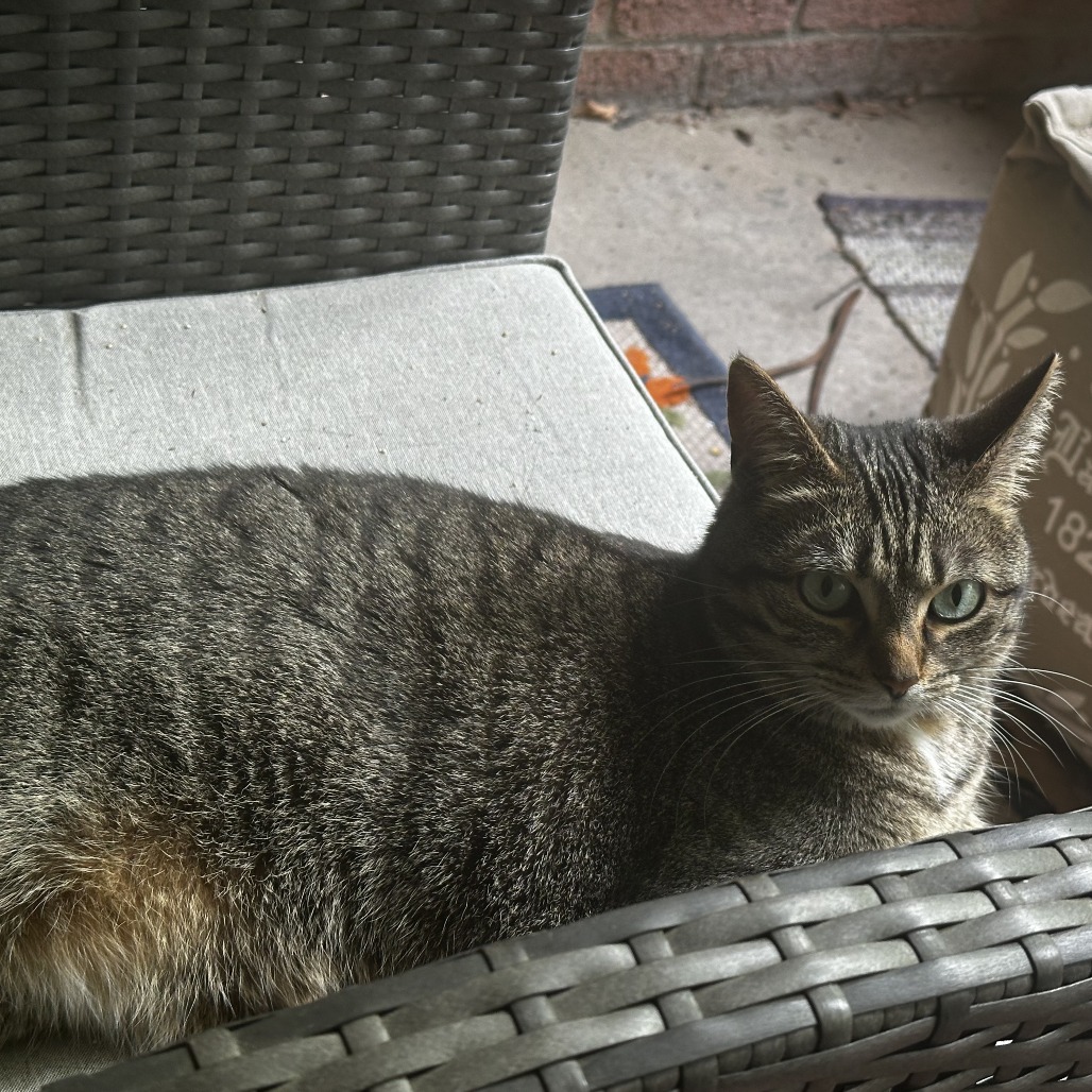 Photo of Smudge 6
