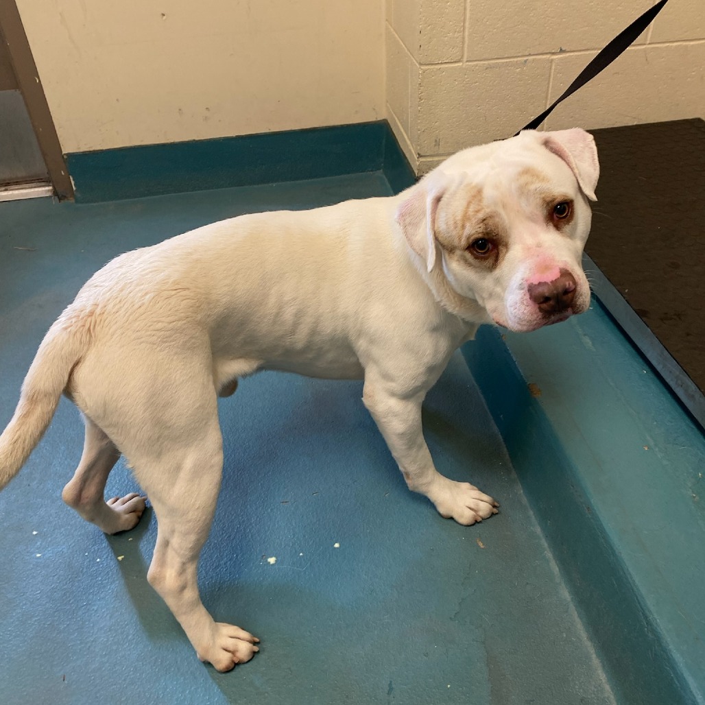 VAGAS — thumbnail 3