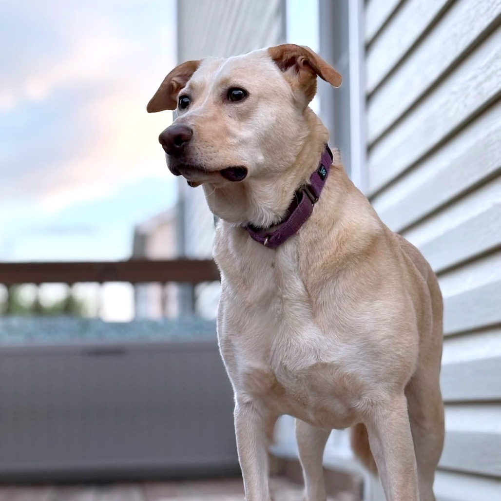 Butter, photo 34