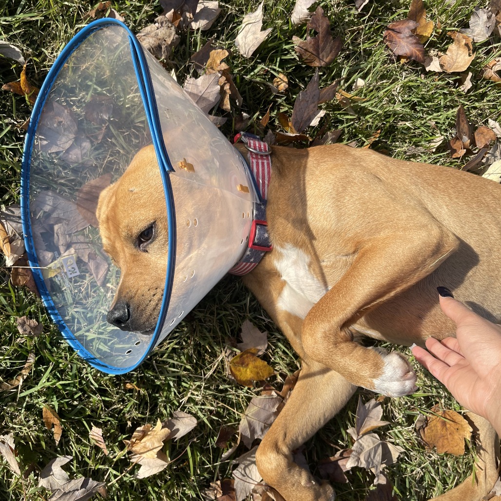 Sandy — thumbnail 3