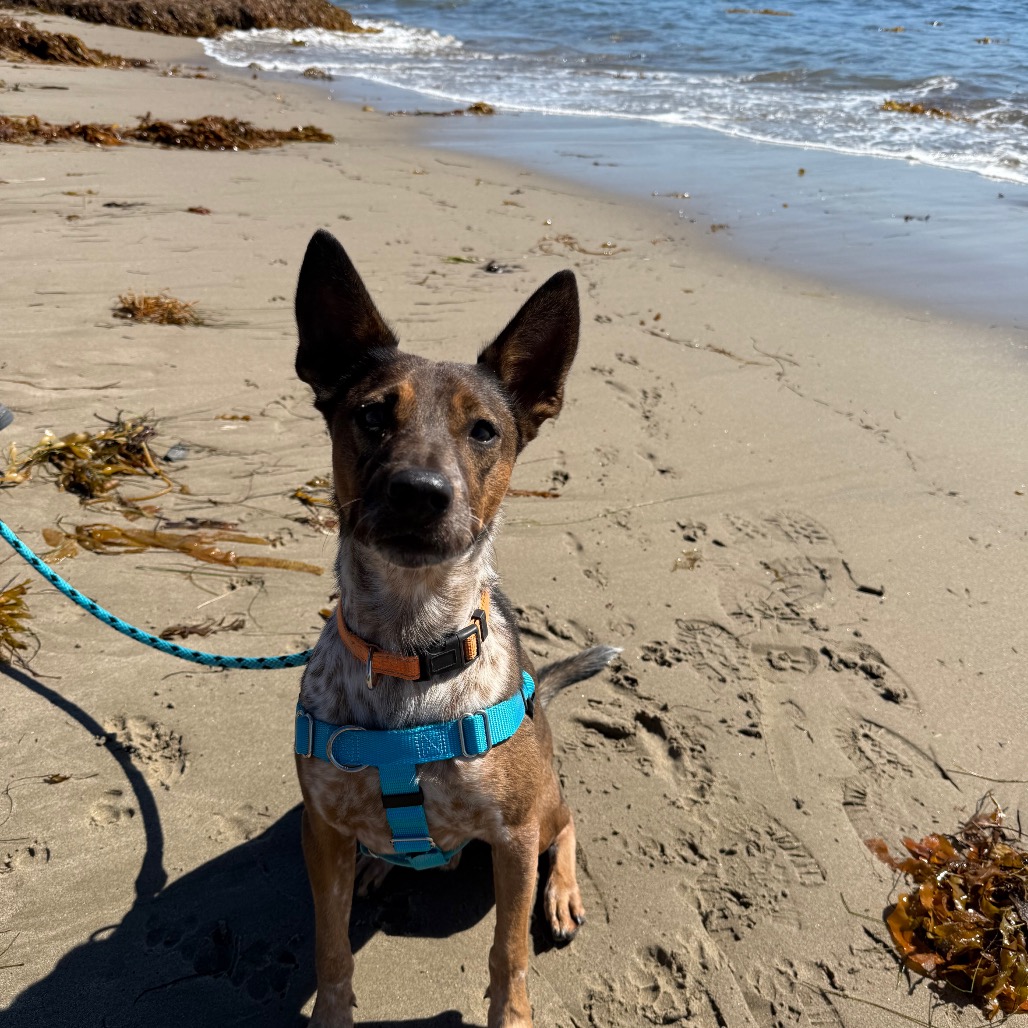 Cash, photo 30