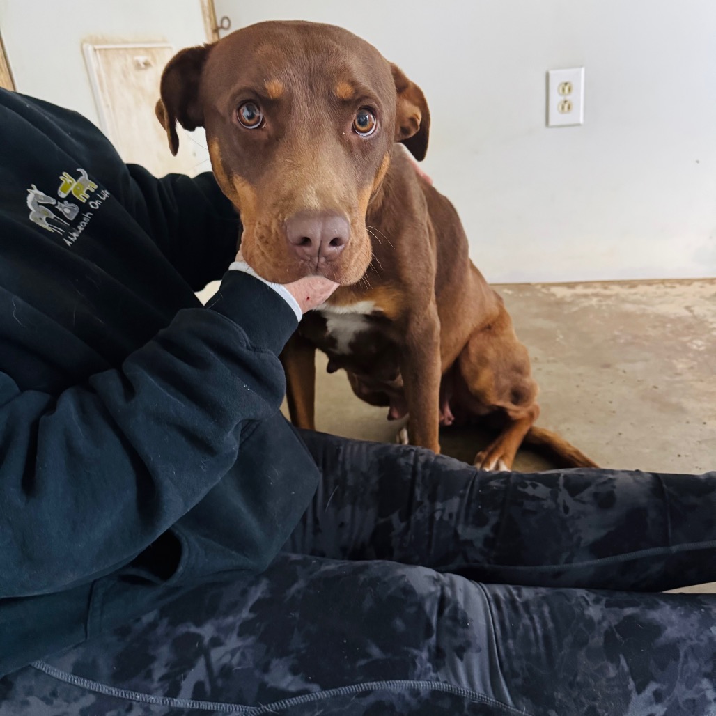 Lexie — thumbnail 2