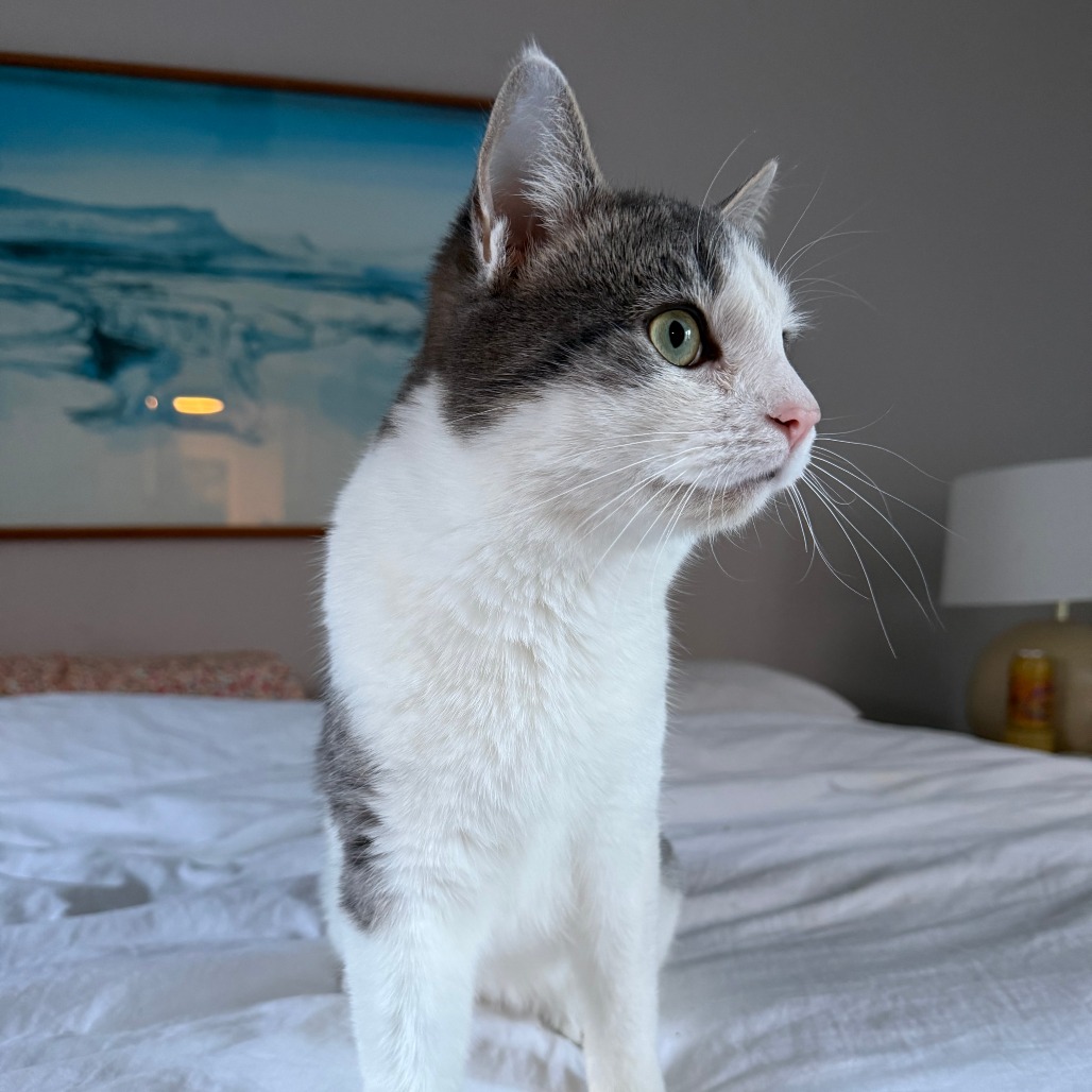 Gregory — thumbnail 2