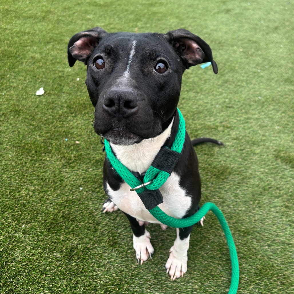 Daria — thumbnail 3