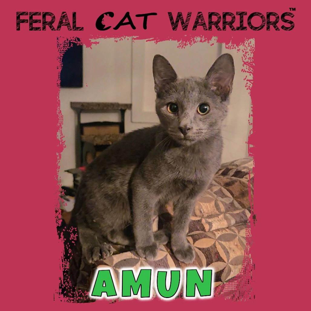 Amun
