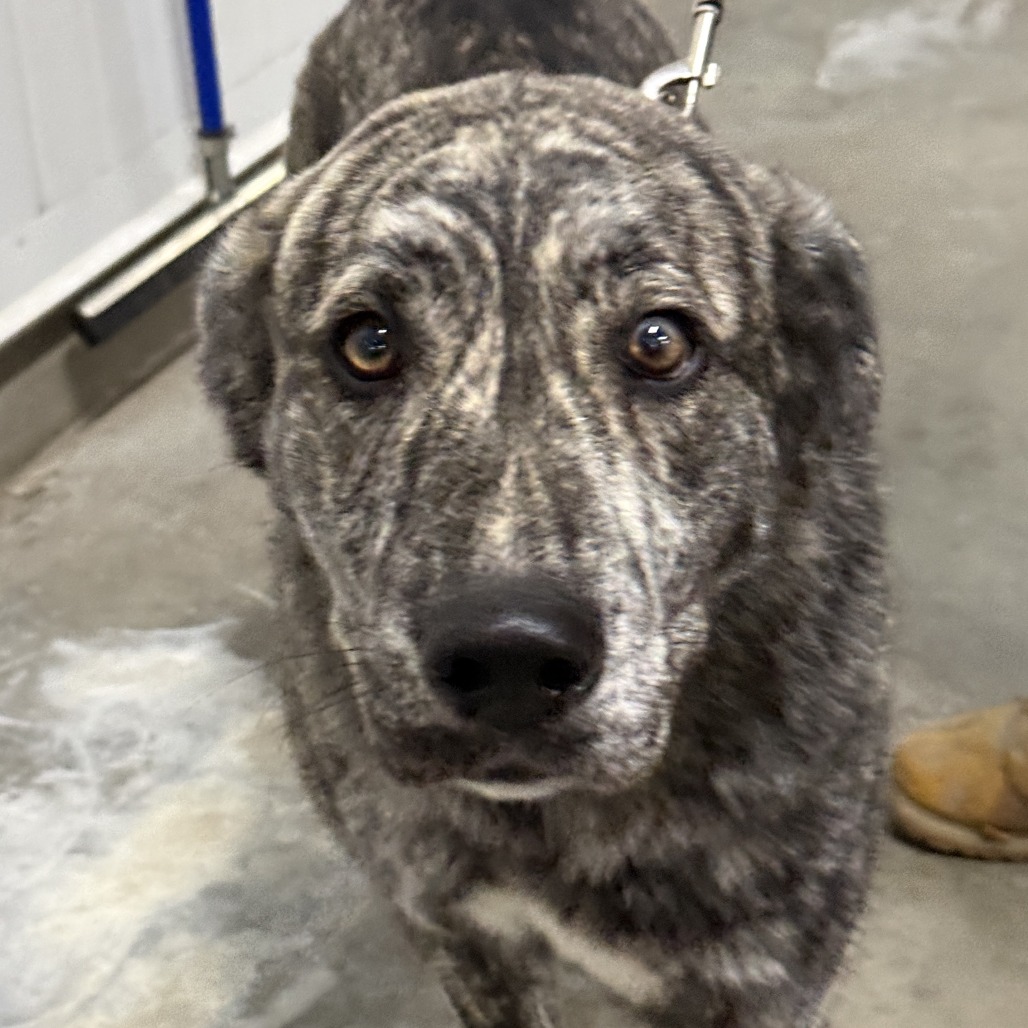 Angie — thumbnail 4