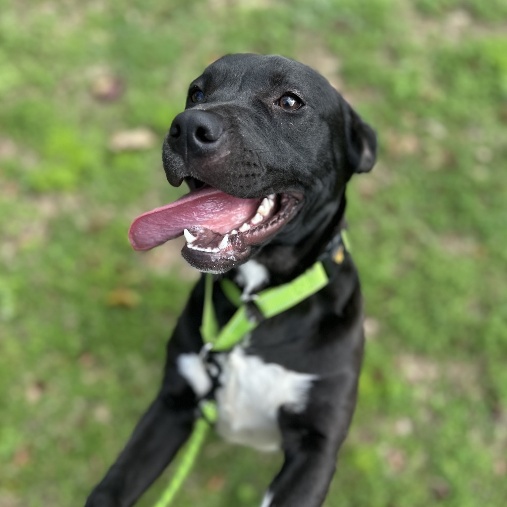 O'Beirne — thumbnail 4