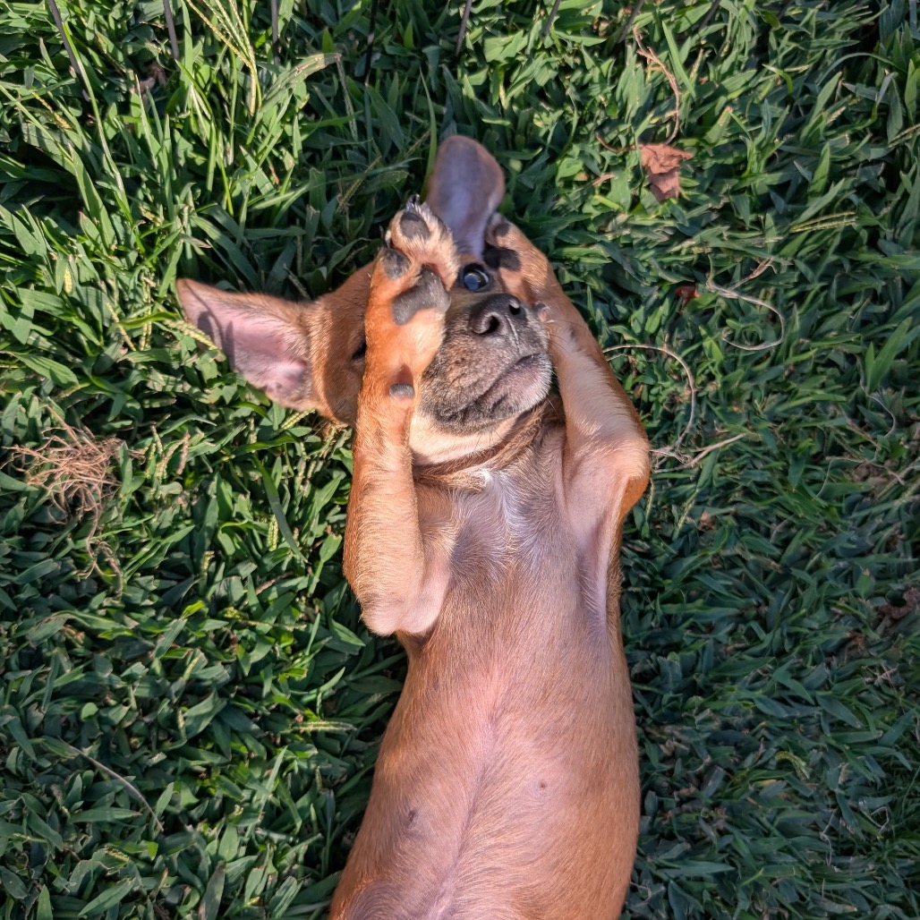 Joaquin, photo 8
