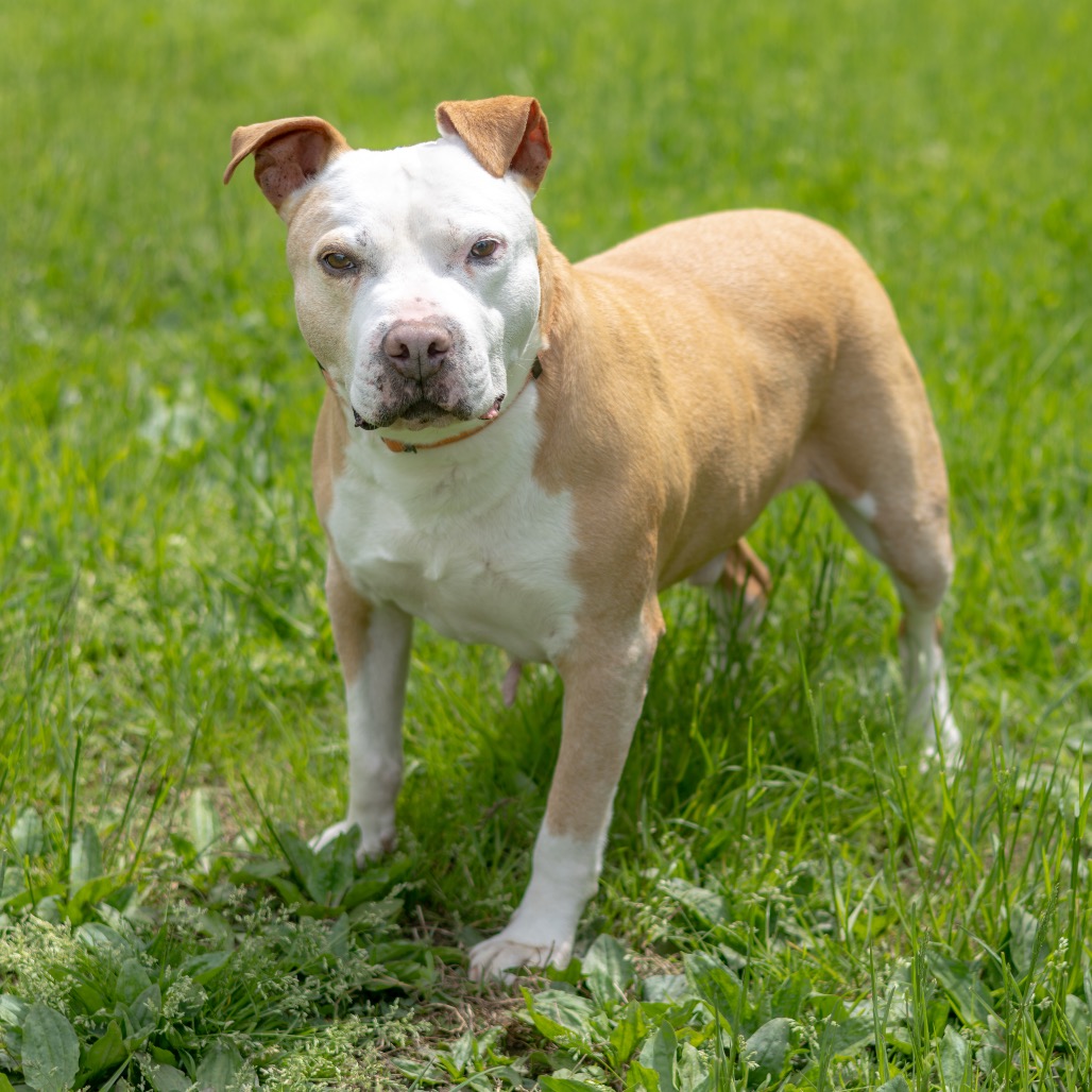 Vinnie, additional photo