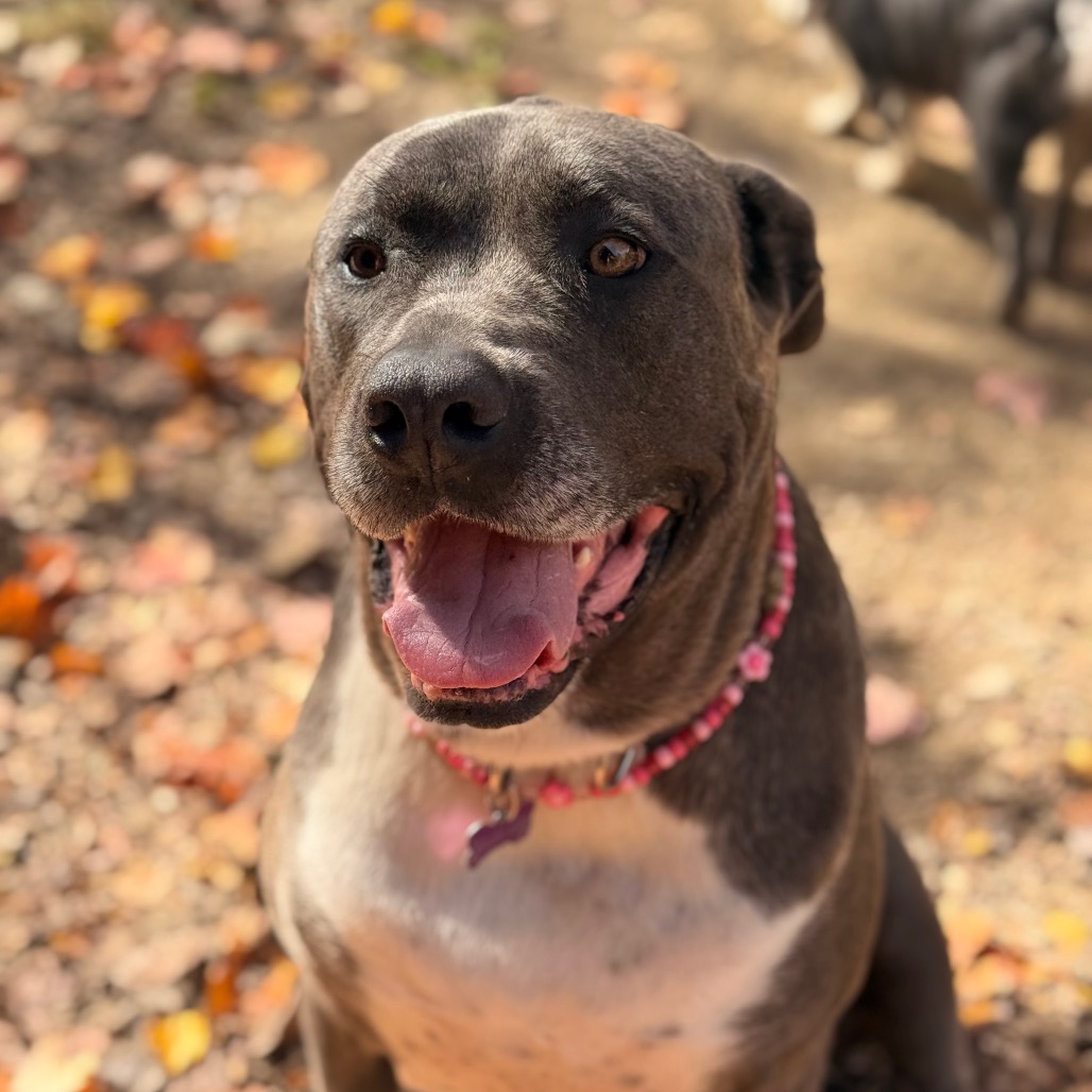 Big Luna, photo 19