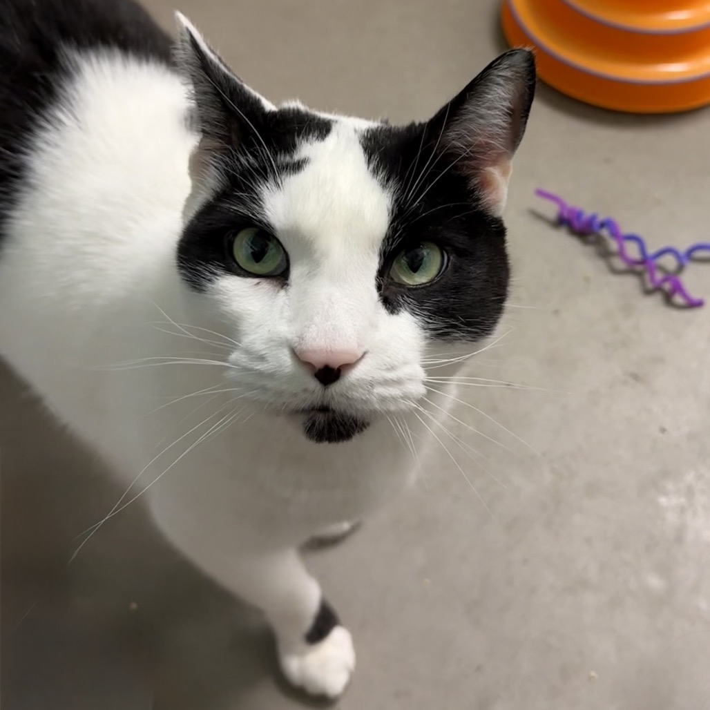 Photo of QZ and Freddy 18