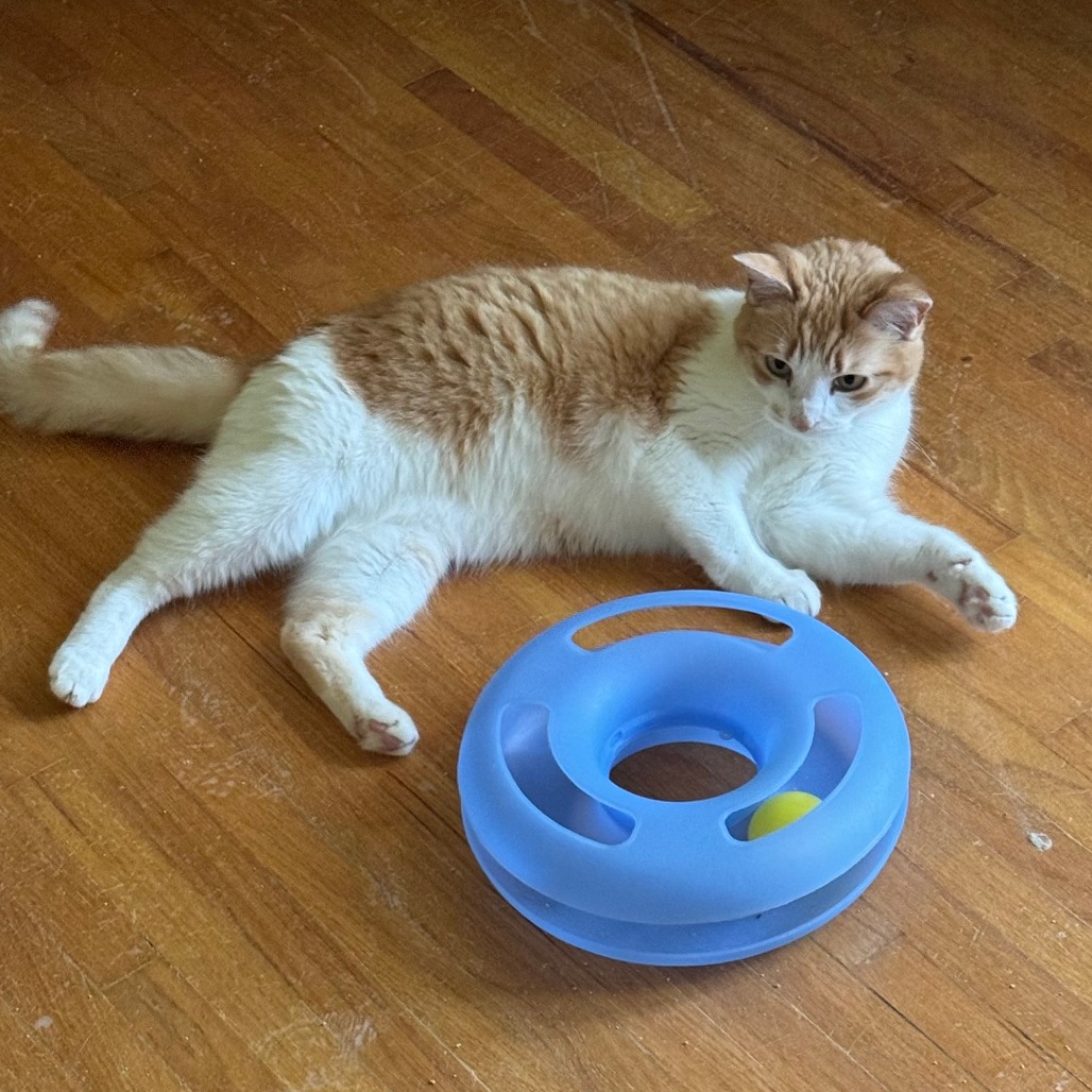 Winnie, photo 2