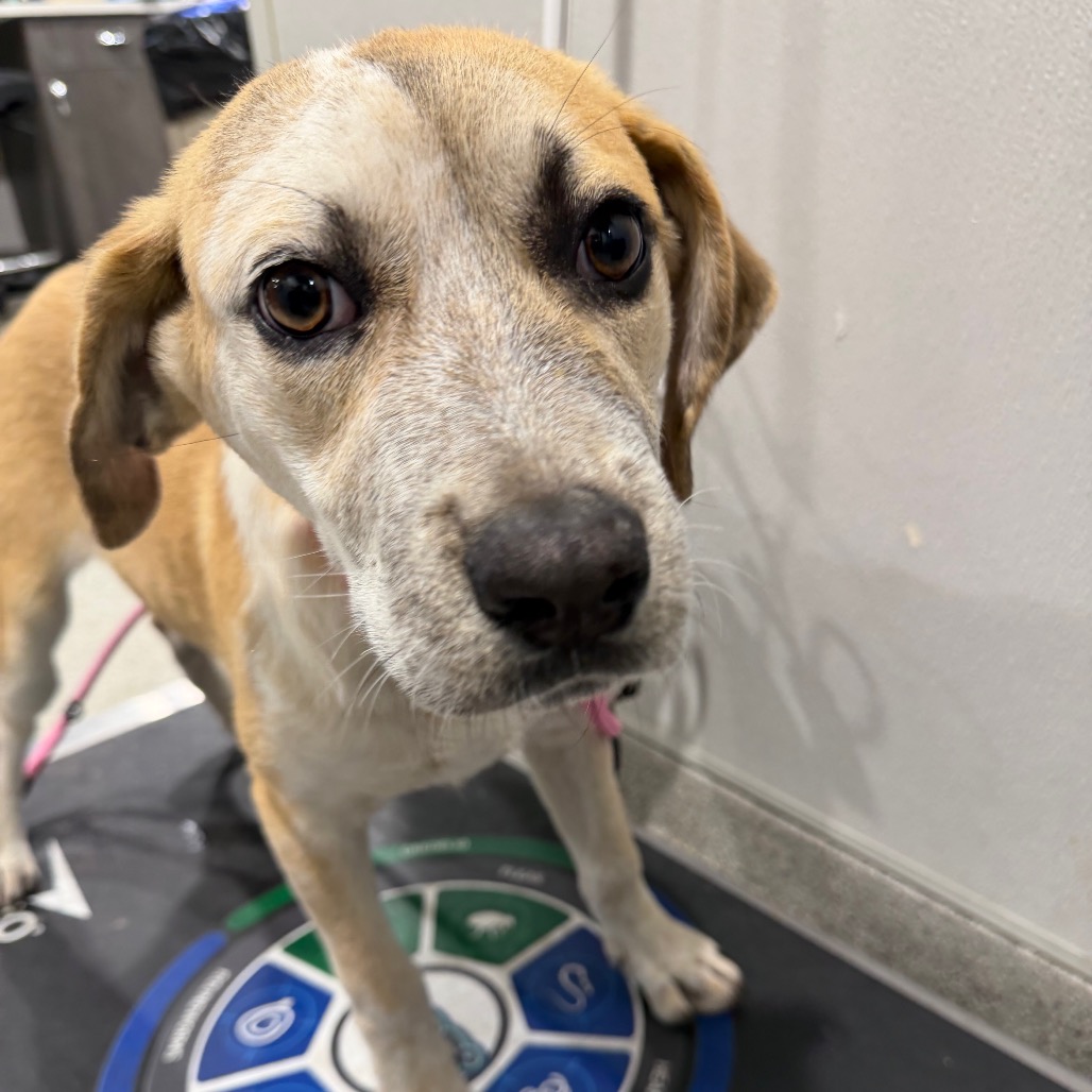 Elisa — thumbnail 3