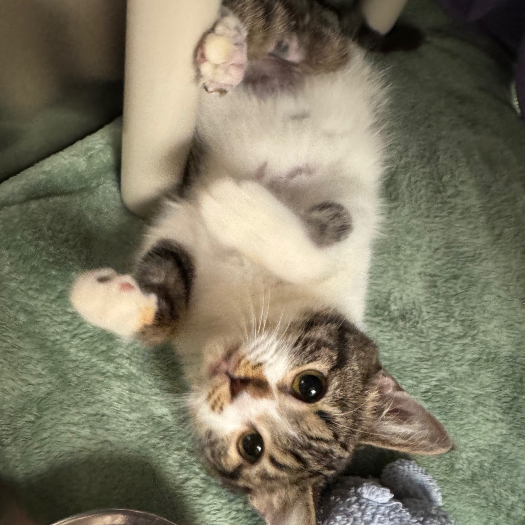 6d3f0df0ae39c420443da7ccb948ed0d