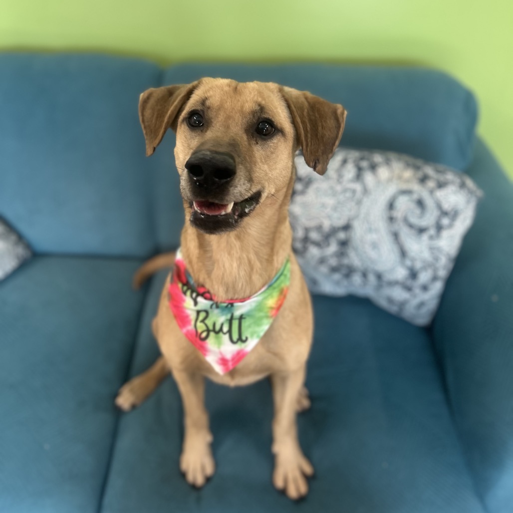 Simon — thumbnail 4