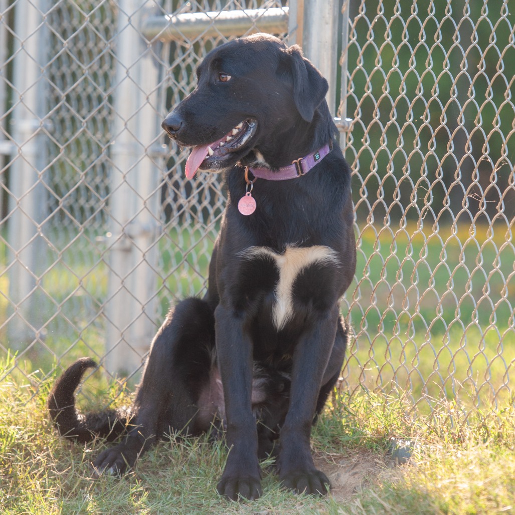 Burt, photo 7