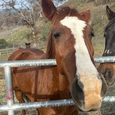 Sugar 's preview photo