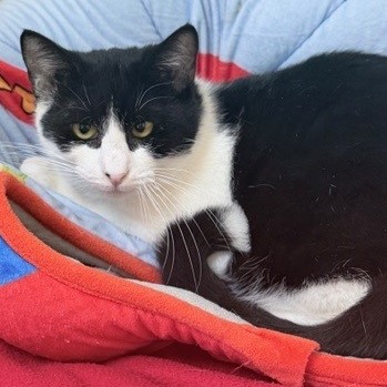 A#68 Lucy's preview photo