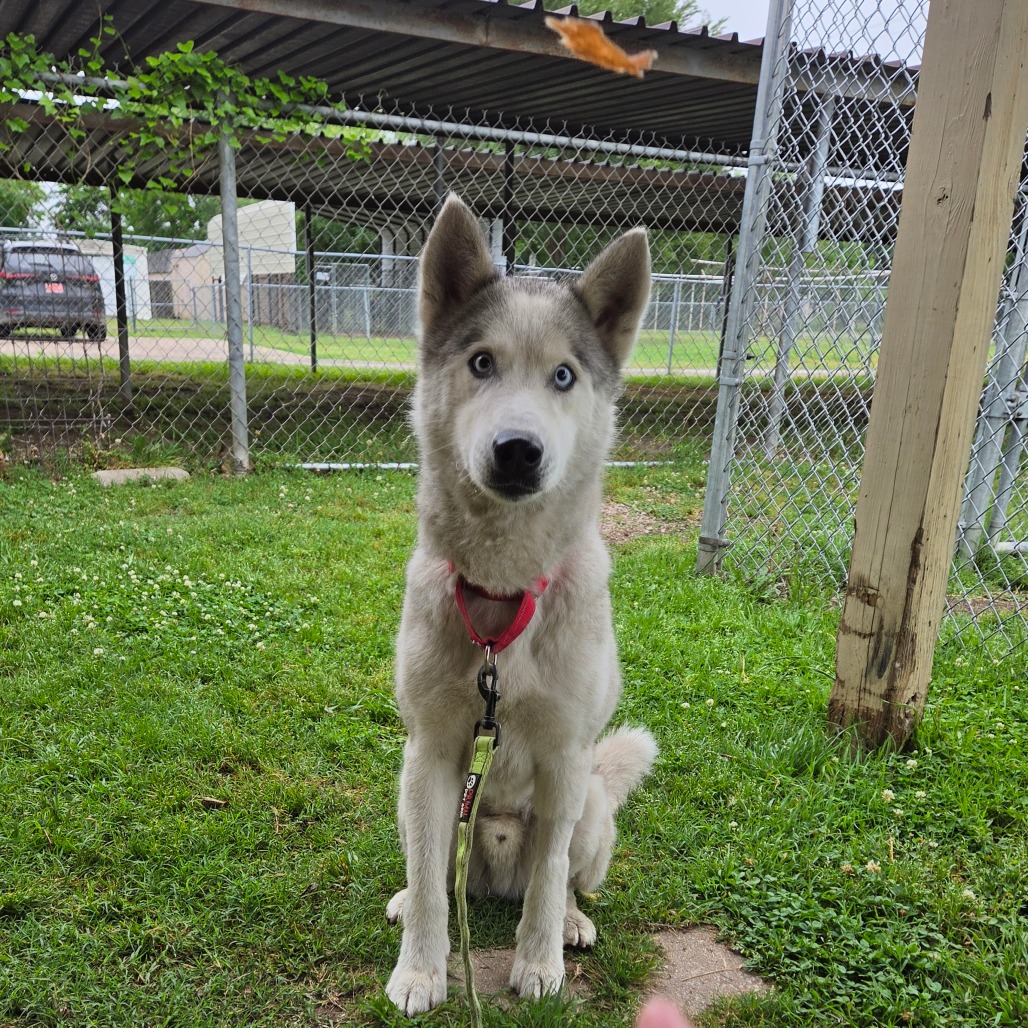 Casper photo 10
