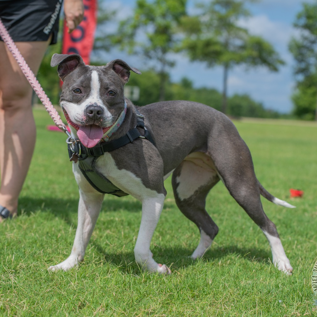 Ruby aka Woobie (Formerly Rosie), photo 11