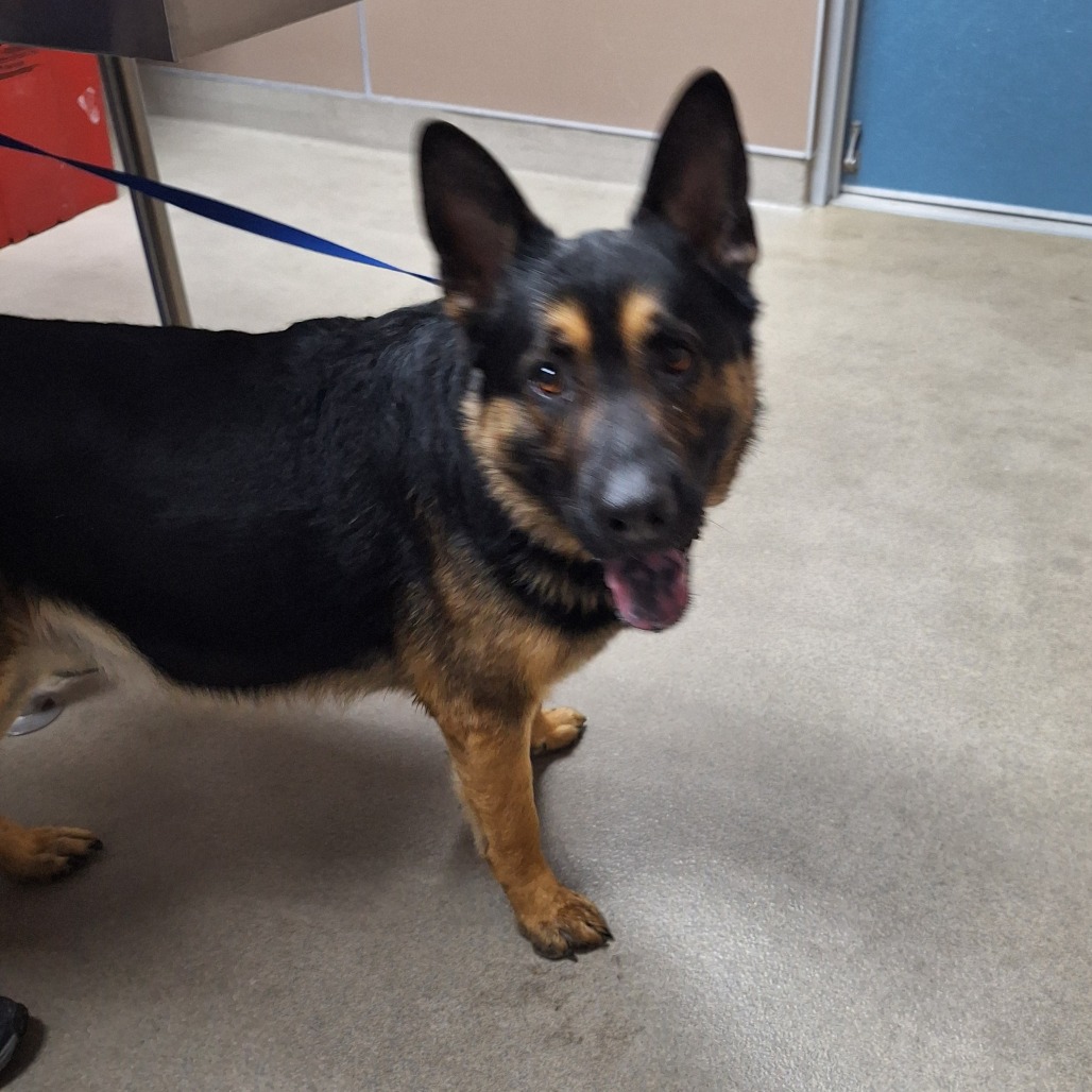 Kennel#7's preview photo