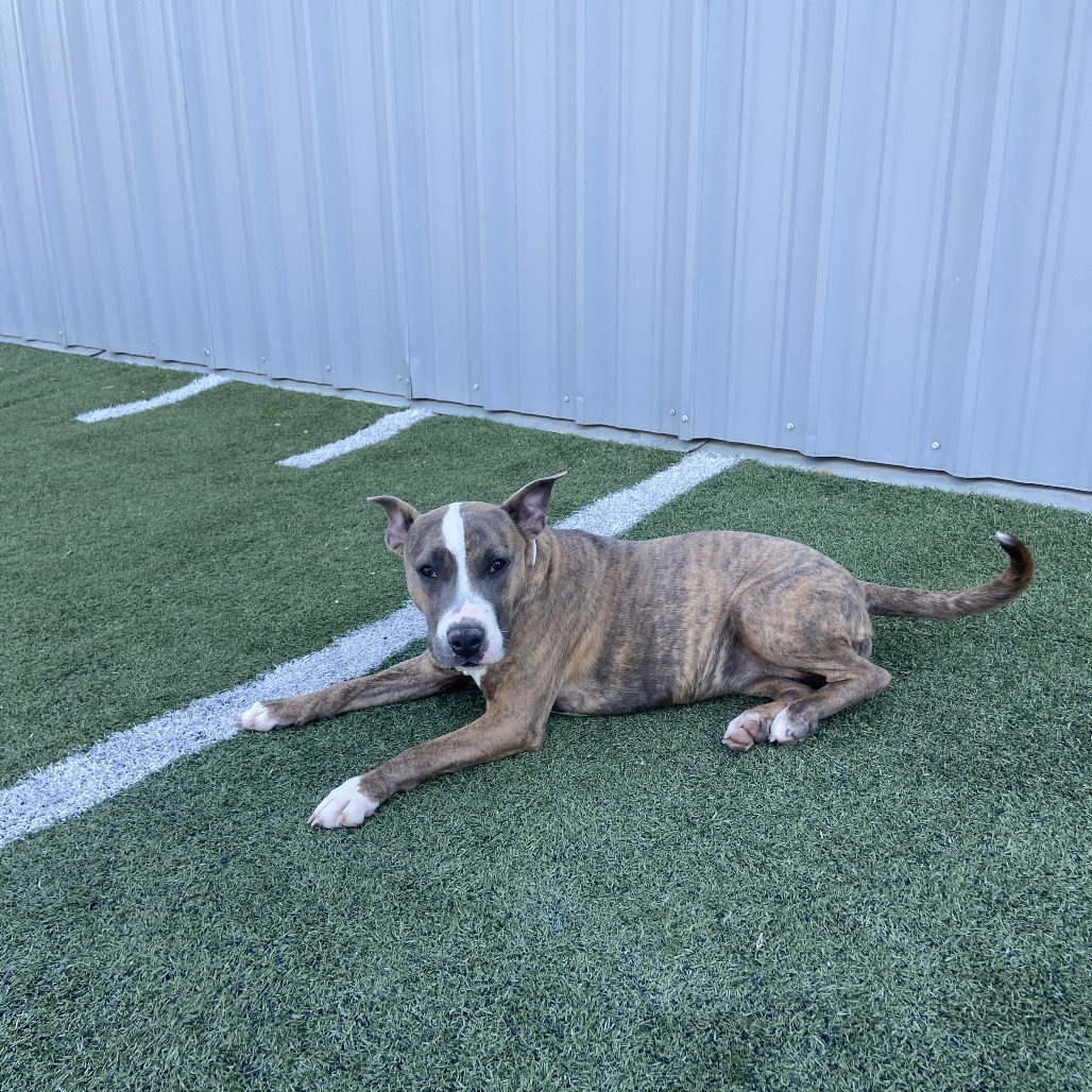 Natalia — thumbnail 4