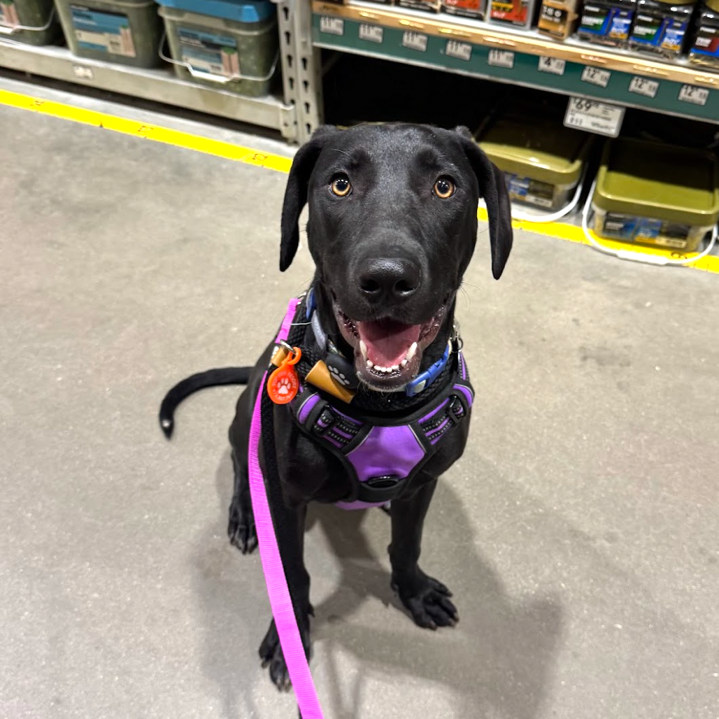 Maggie5, photo 7