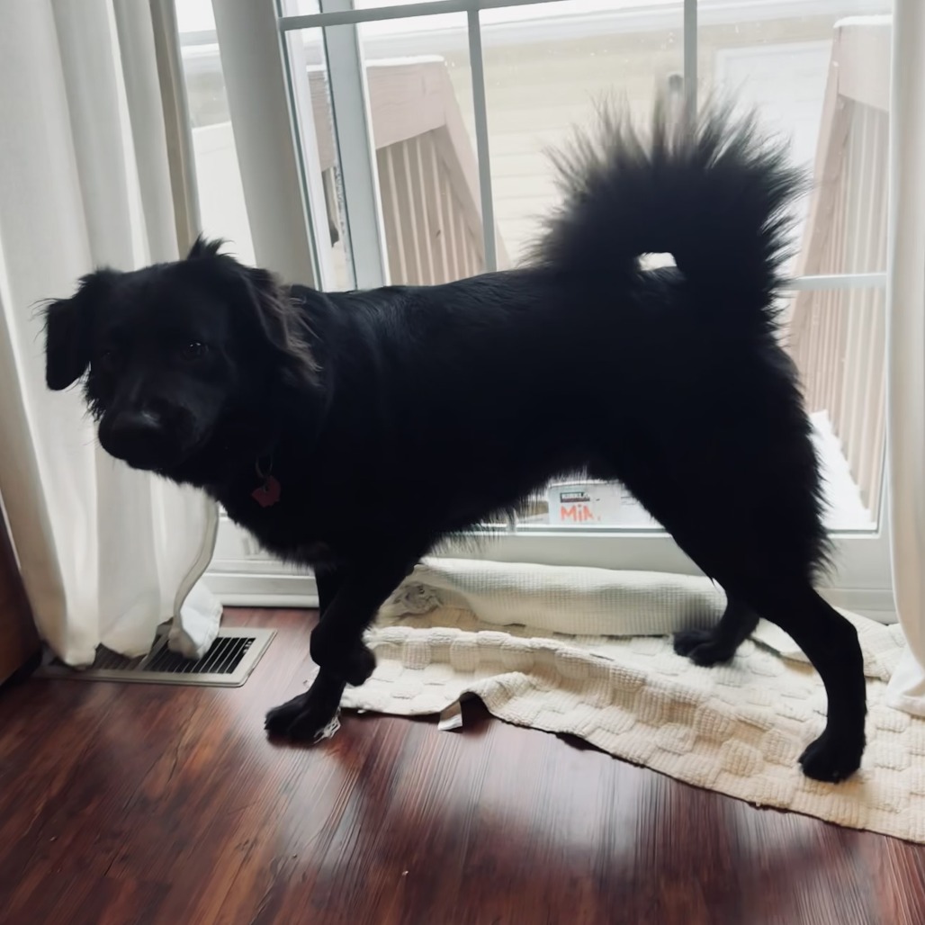 Edwin — thumbnail 5