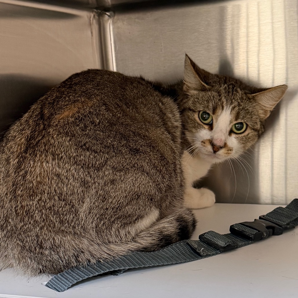 C#144's preview photo