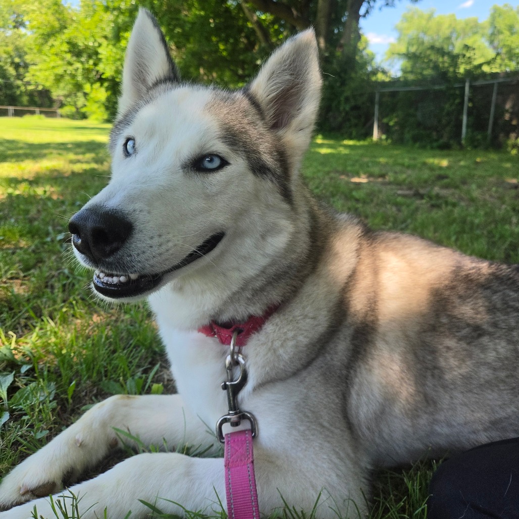 Casper photo 34