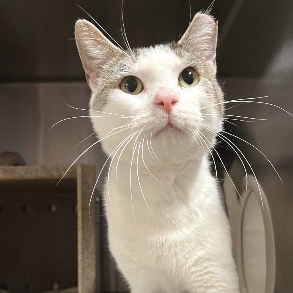 41c4f97e01966febfabc2efa10cf574c